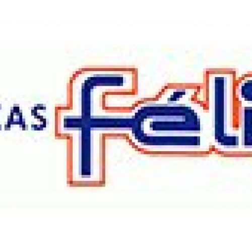 fedem mudanzas logo felix empresa